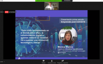 APORTAMOS NUESTRA REFLEXIÓN EN LA WEBINAR, “EMPRENDE POST COVID”, organizada por Andalucía Emprende, Fundación Pública Andaluza”. Moderada por Rosa Siles.